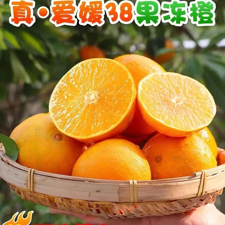 四川眉山爱媛38号果冻橙薄皮橙子水果柑橘多汁现摘先发坏果包赔