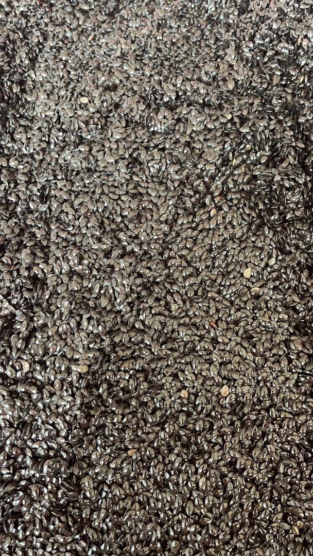 百香果湿籽（小籽好嚼，到货需要自己清洗）