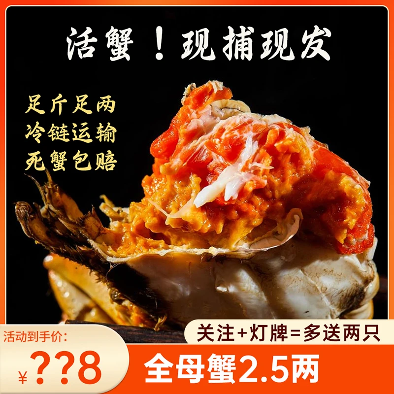 活蟹全母蟹2.5两大闸蟹10只/6只可选现货河蟹去绳裸重冷链鲜达