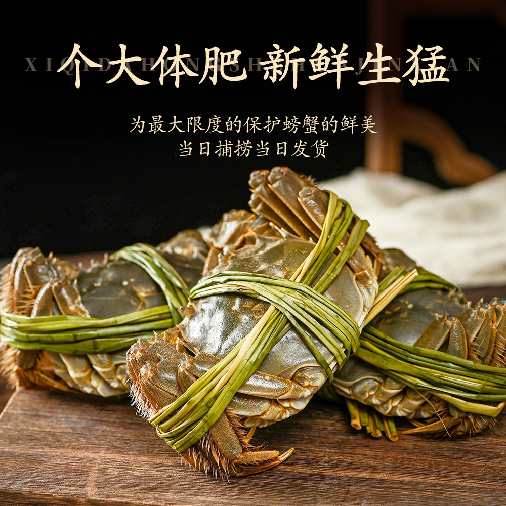 贤民八个活蟹 公蟹4.5两 母蟹3.5两 4对8只送两只 顺丰冷链
