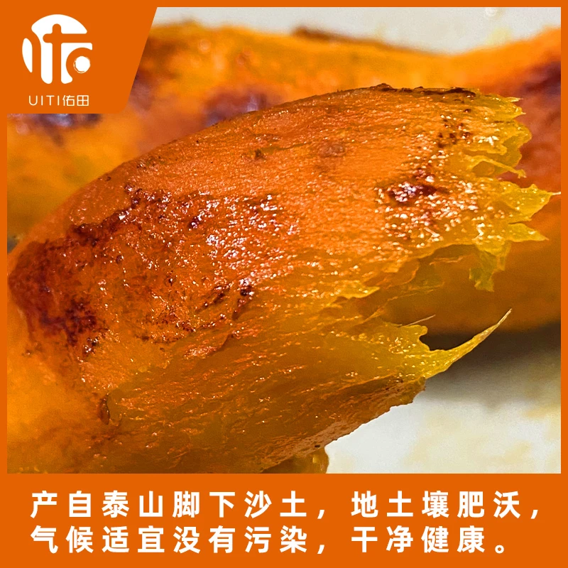 山东正宗烟薯25号蜜薯 蜜甜流油 4.5-5斤已糖化收到就可以烤