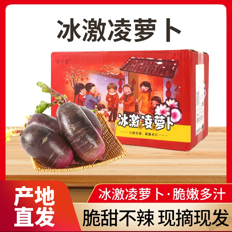 【顺丰包邮】天津冰淇凌脆嫩萝卜水果萝卜生吃新鲜多汁脆甜爽口