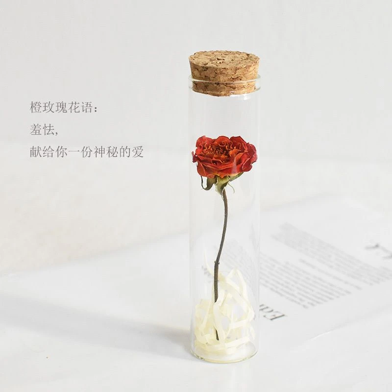 【粉丝专享福利】玫瑰干花试管玻璃摆件满天星许愿瓶创意礼物花束