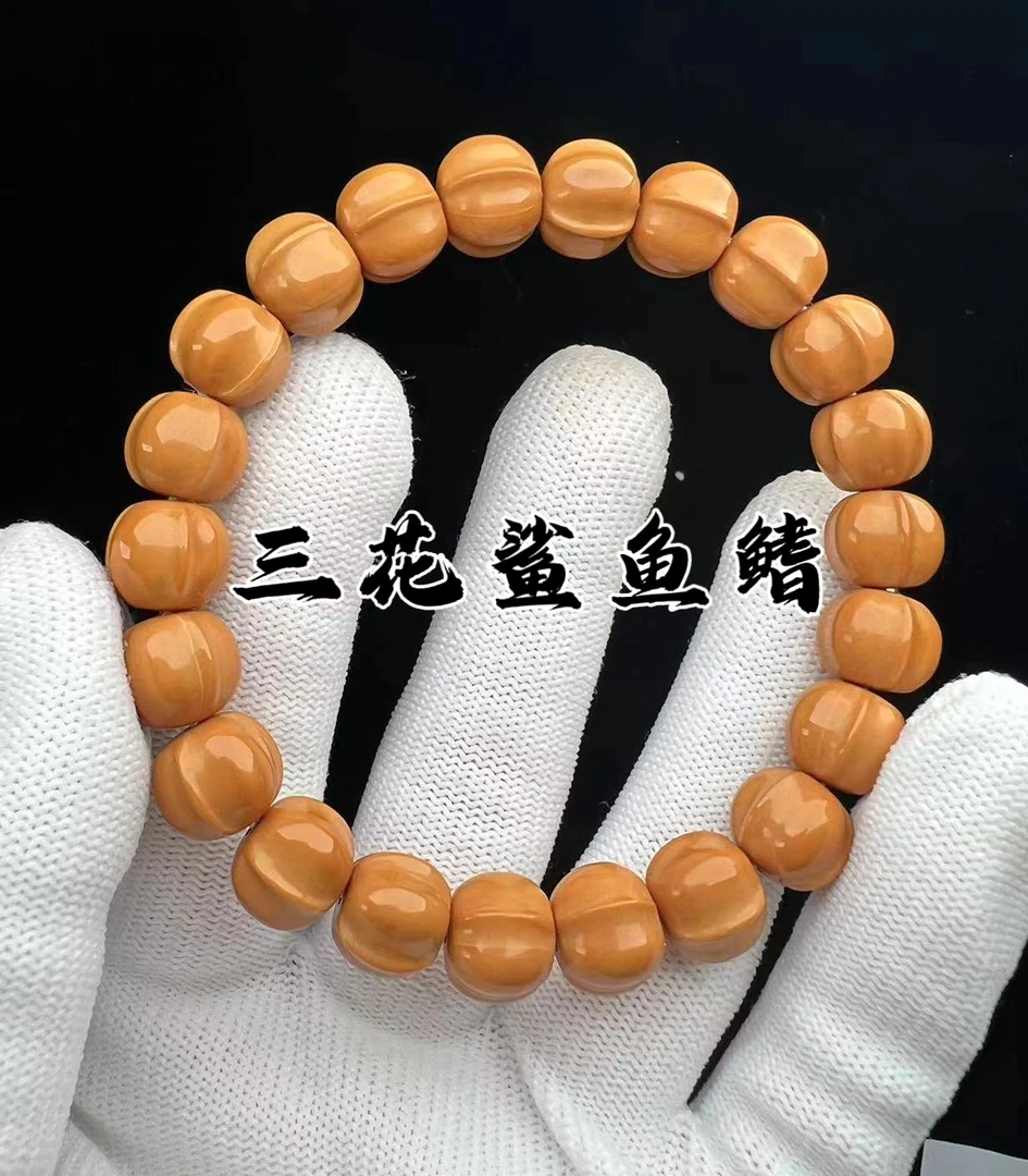 猴头三花鲨鱼鳍精品单圈