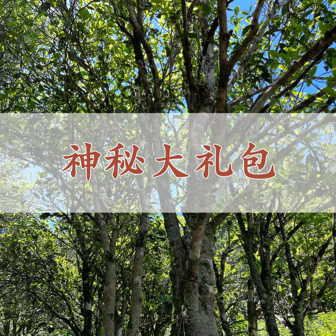 【老枞黄栀香-品鉴2泡】凤凰单丛茶 代拍链接  14g