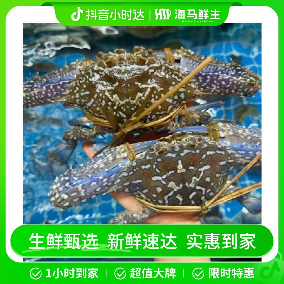 本地海捕新鲜蓝公蟹（3斤）