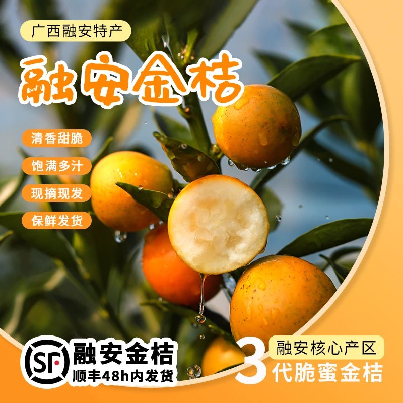 【融安直发】正宗广西融安第三代脆蜜金桔应季水果一整箱顺丰包邮