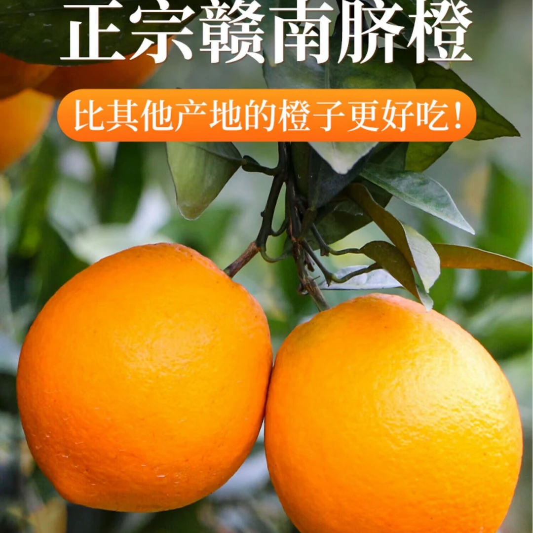 江西赣南脐橙皮薄肉厚美味多汁现摘现发