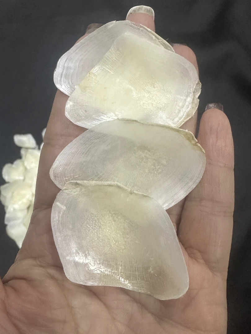 济雄滋补野鱼鳞 骨鳞1-500克