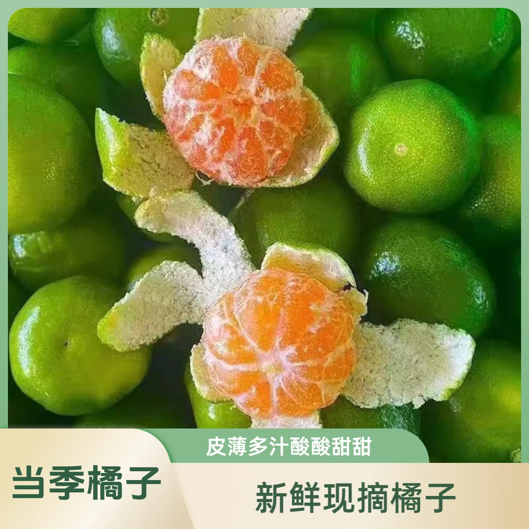 【小果冲销量】蜜桔青皮橘子早熟新鲜当季应季现摘水果皮薄酸甜多汁