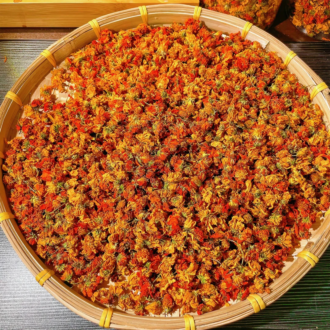 天山雪域冰菊 古丽恰尔 希望之花 甘甜凛冽