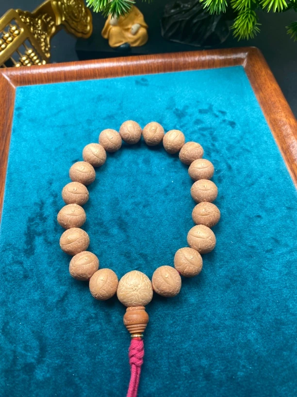 尼泊尔精品13凤眼菩提