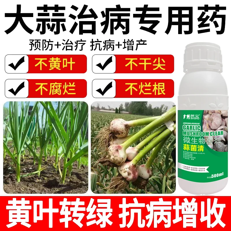 大蒜病专用药蒜苗黄叶干尖锈病紫斑病叶枯病根腐病蒜苗微生物肥料