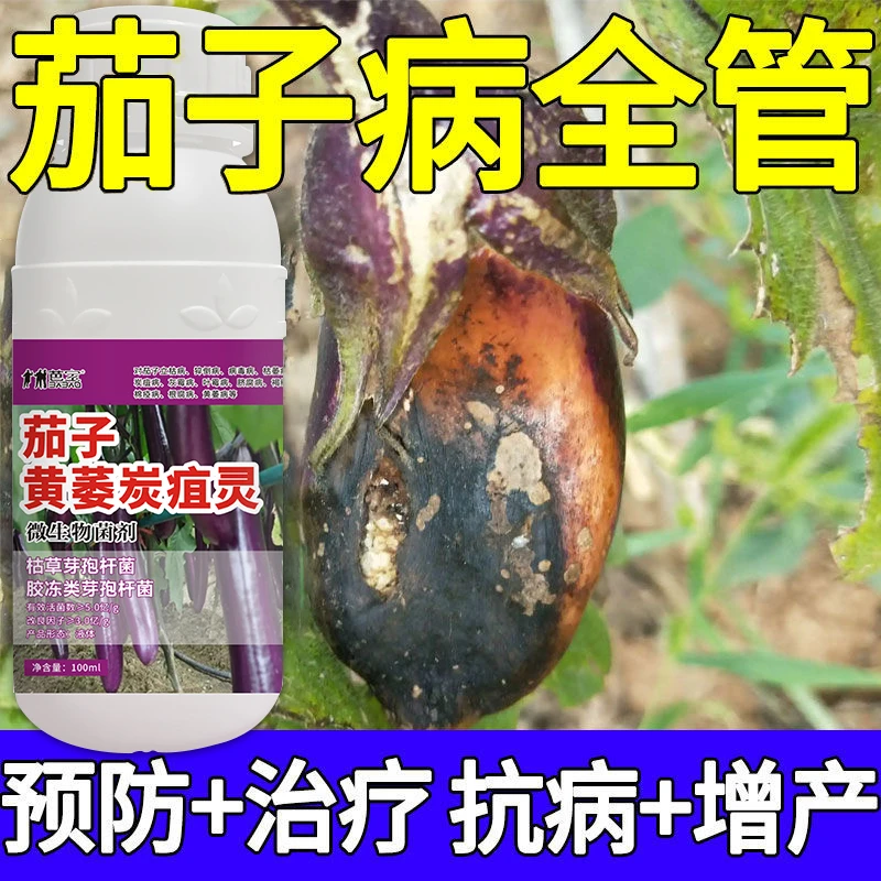 【茄子病全管】茄子病专用药枯萎病叶斑白粉疫病抗病增产微生物肥料