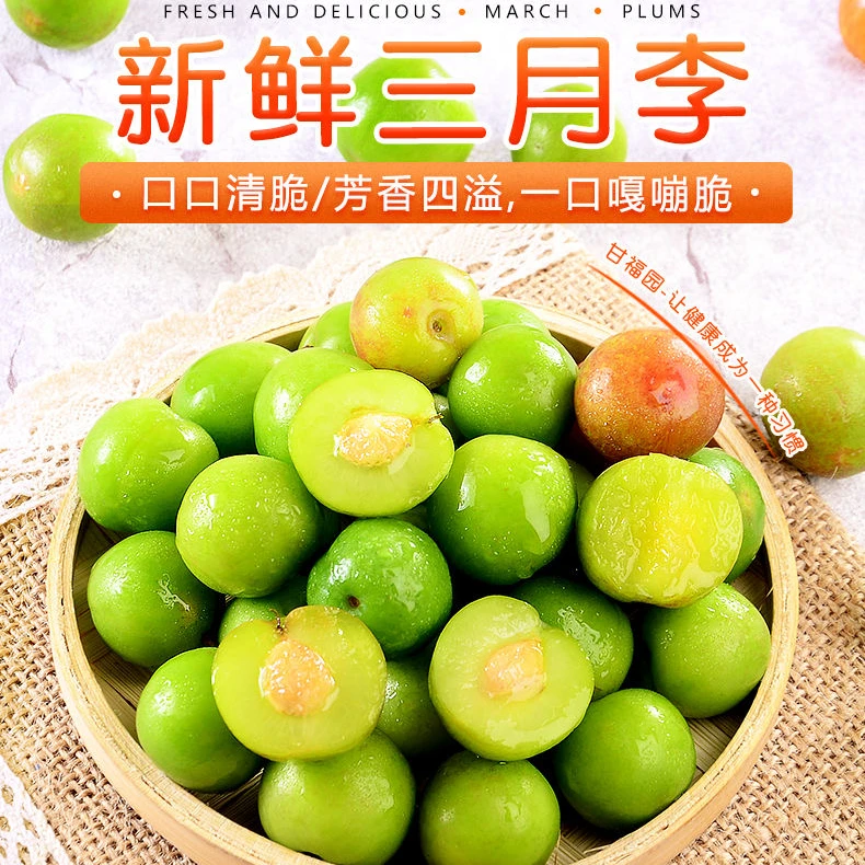 正宗钱排三月李产地直发（中果）新鲜现货风味肉厚鲜脆李子果香酸脆