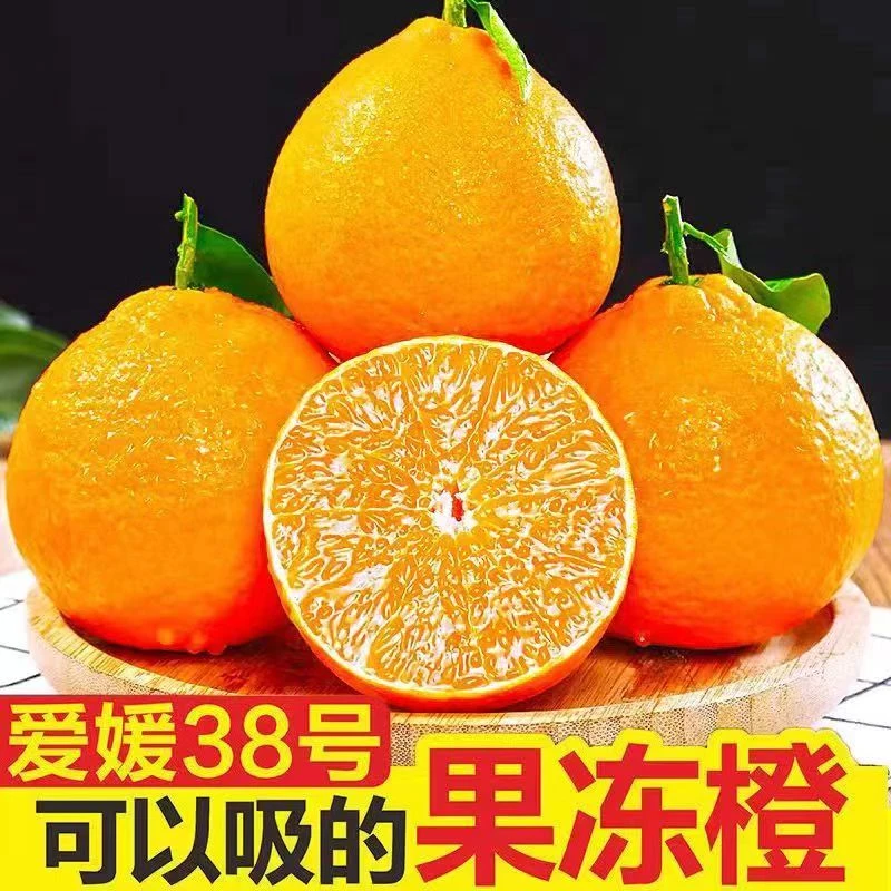 东方甄选【爱媛38号果冻橙】产地酸甜爆汁细嫩无籽无核化渣柑橘桔。
