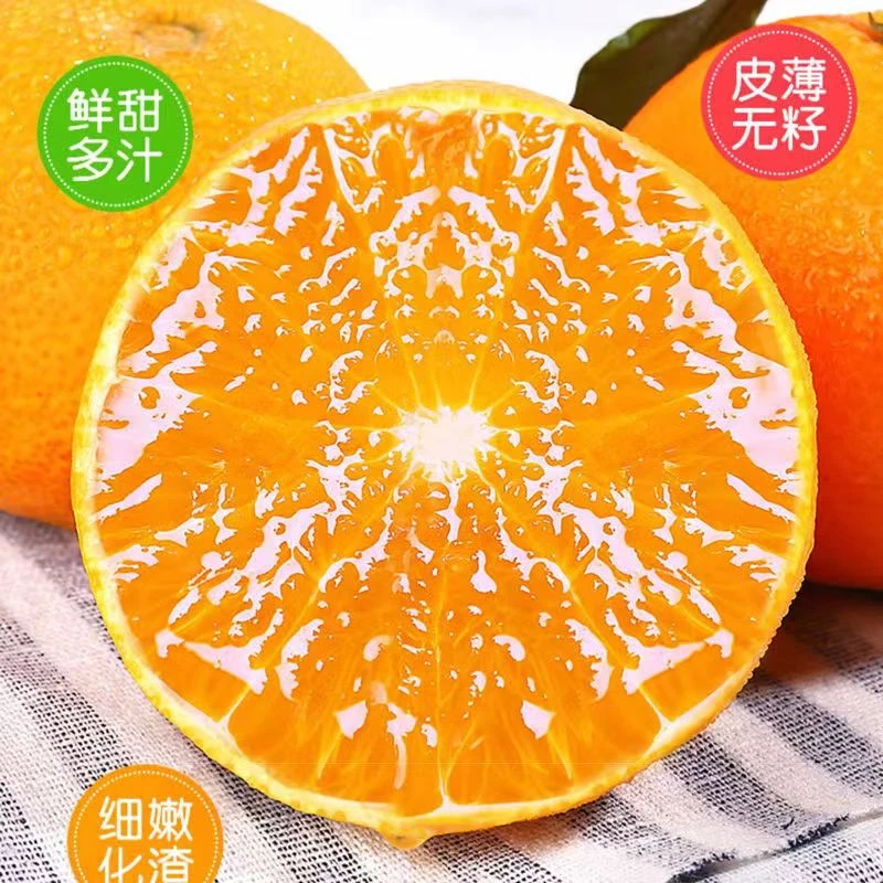 甑选自营|东方甑选爱媛阳光38号果冻橙酸甜适口坏果包赔无核正宗。