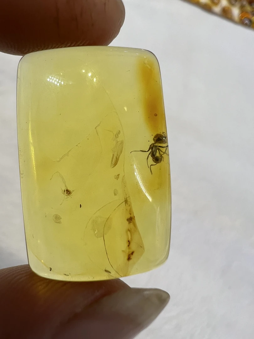 天然琥珀虫珀无事牌吊坠规格尺寸：25.6*17*7.2mm