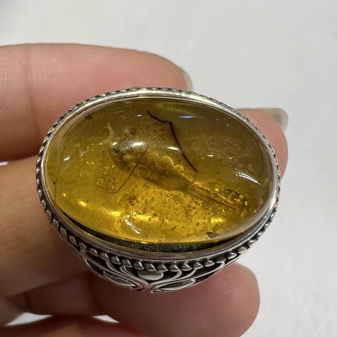 天然琥珀虫珀戒指镶嵌s925银