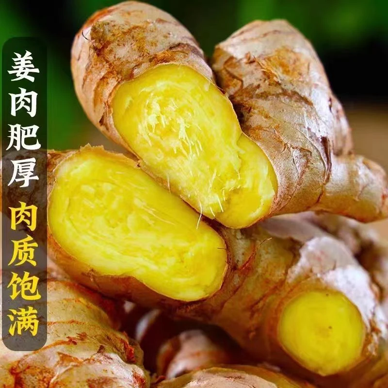 云南正宗山地小黄姜新鲜现挖生姜辛辣浓郁半斤精选生姜鲜姜老产地