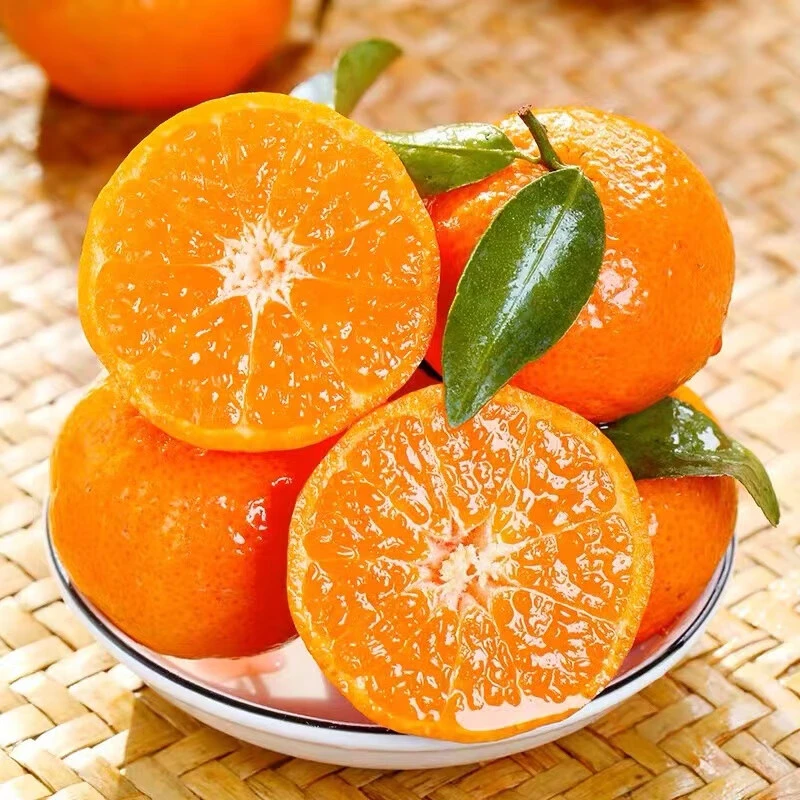 砂糖桔 砂糖橘约250g/份