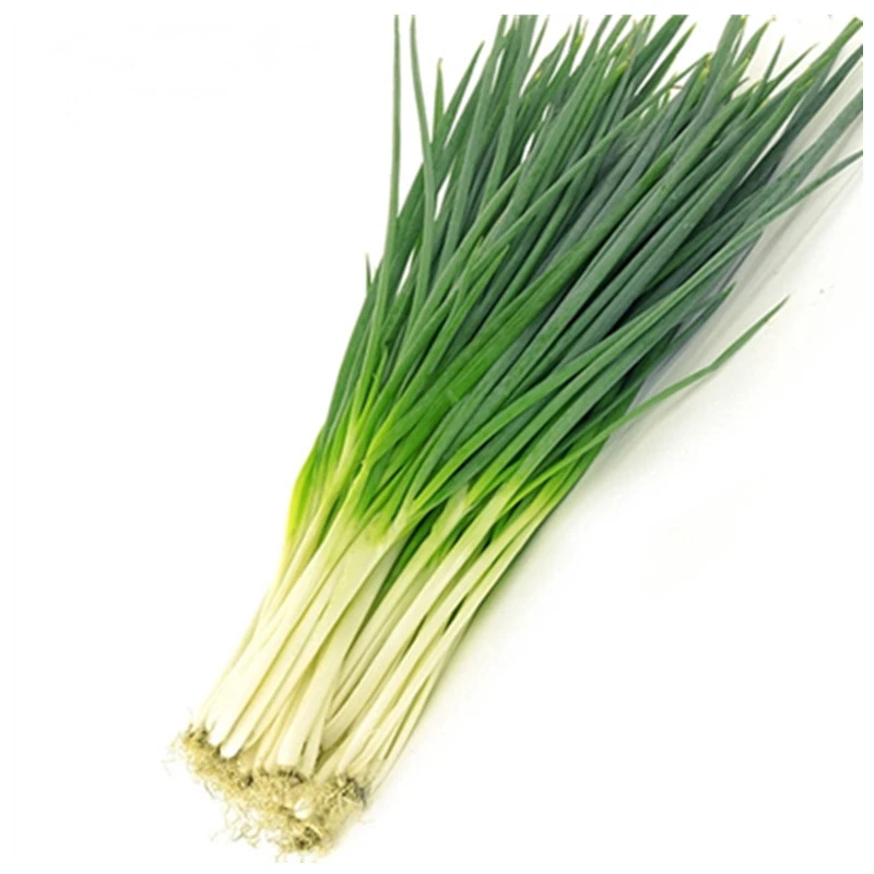 香葱约100g/份【同城配送】