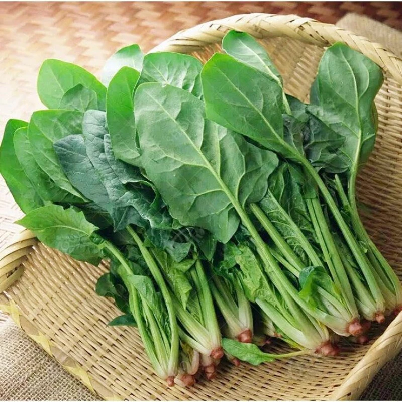 菠菜约200g/份【同城配送】