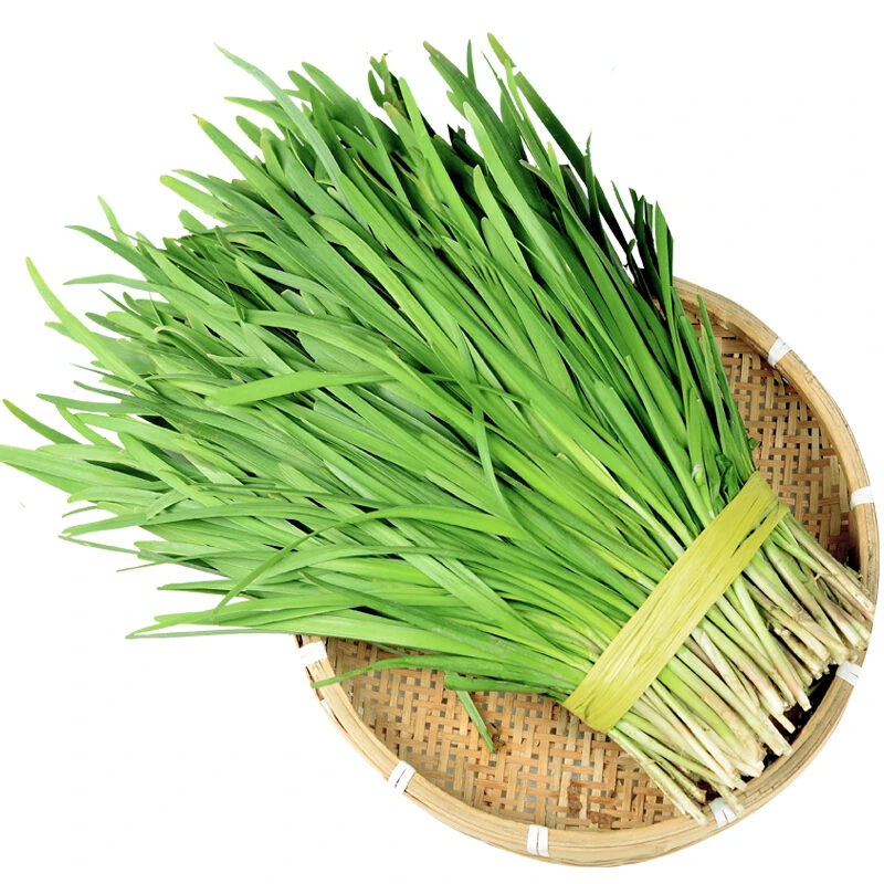 韭菜约200g/份【同城配送】