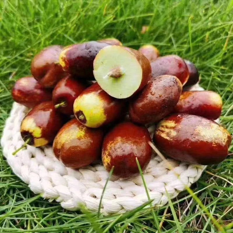 灵武长红枣【中秋礼盒】