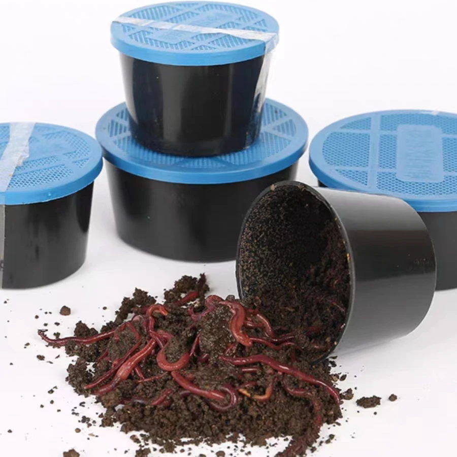 盒装蚯蚓活饵大号1盒装红虫垂钓钓鱼牛粪黑坑野钓鲜活红腥味蚯蚓