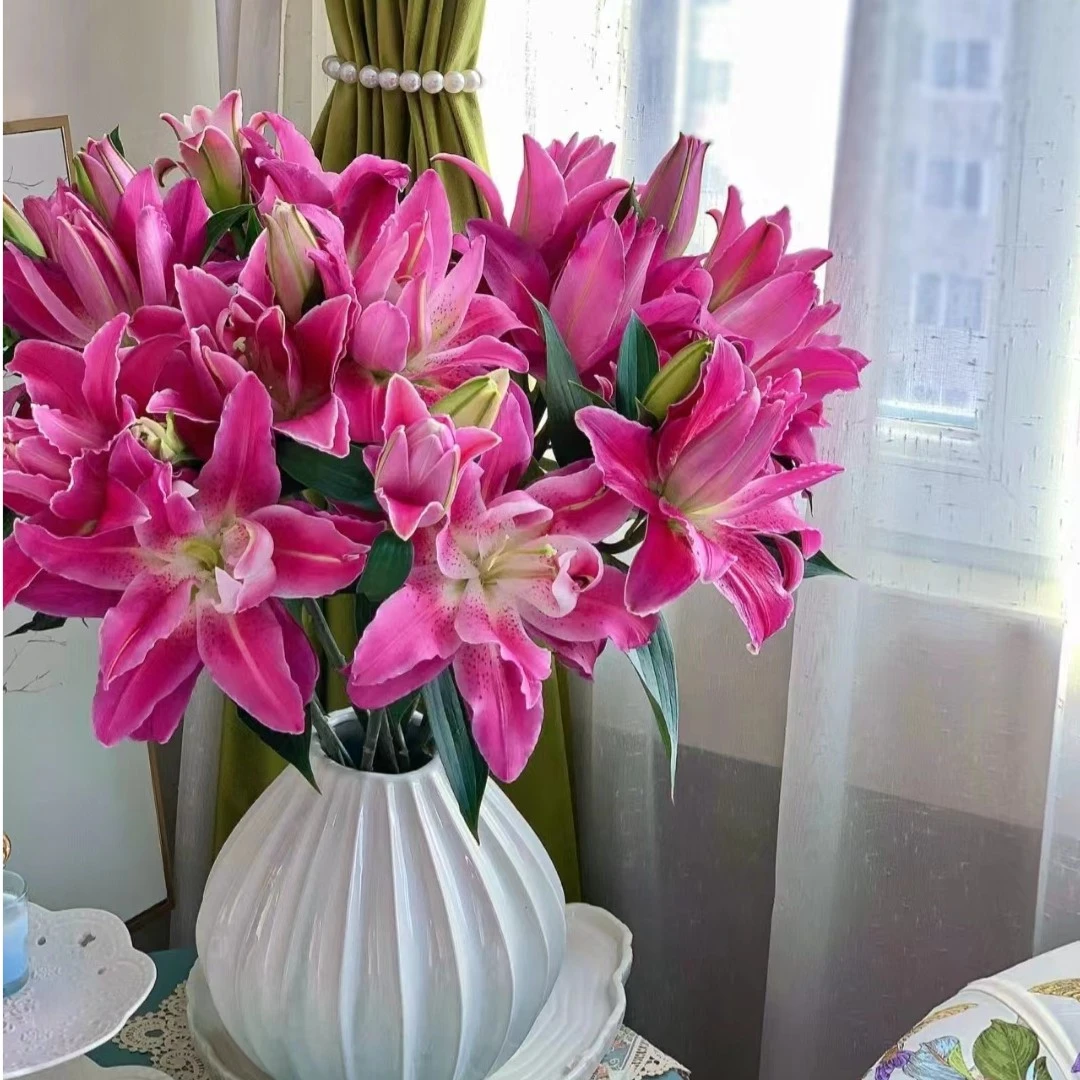 紫莲花--重瓣百合   颜色高贵典雅