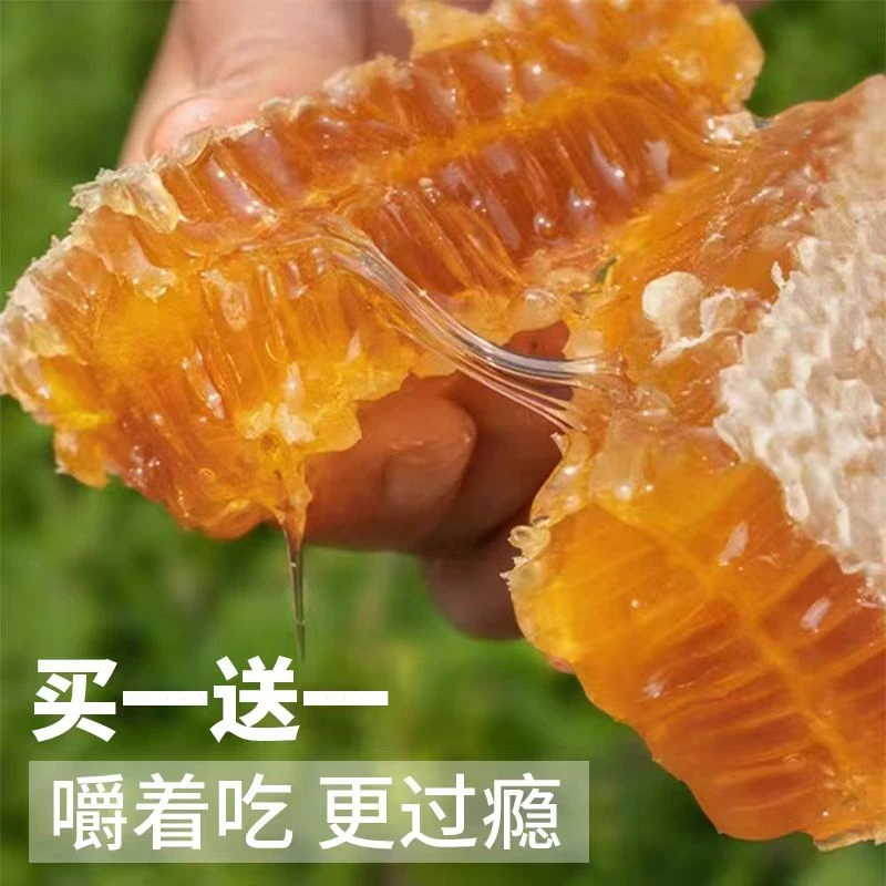 【下单不送手机说送是骗子】（买一送一）嚼着吃蜂巢蜜总重量570克