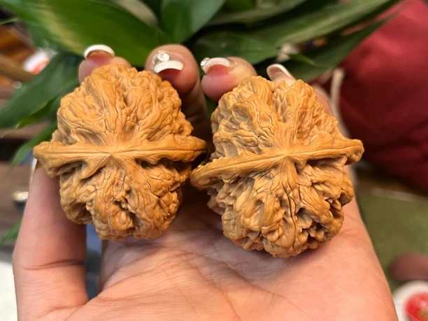 文玩核桃将军榜47尺寸