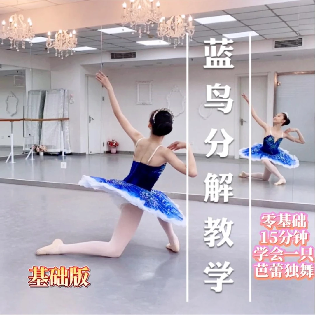 芭蕾独舞《蓝鸟》基础版