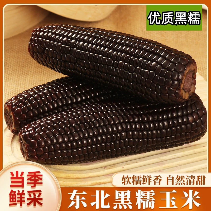 【年货节特惠】东北黑糯玉米 现摘新鲜真空包装 轻食营养代餐