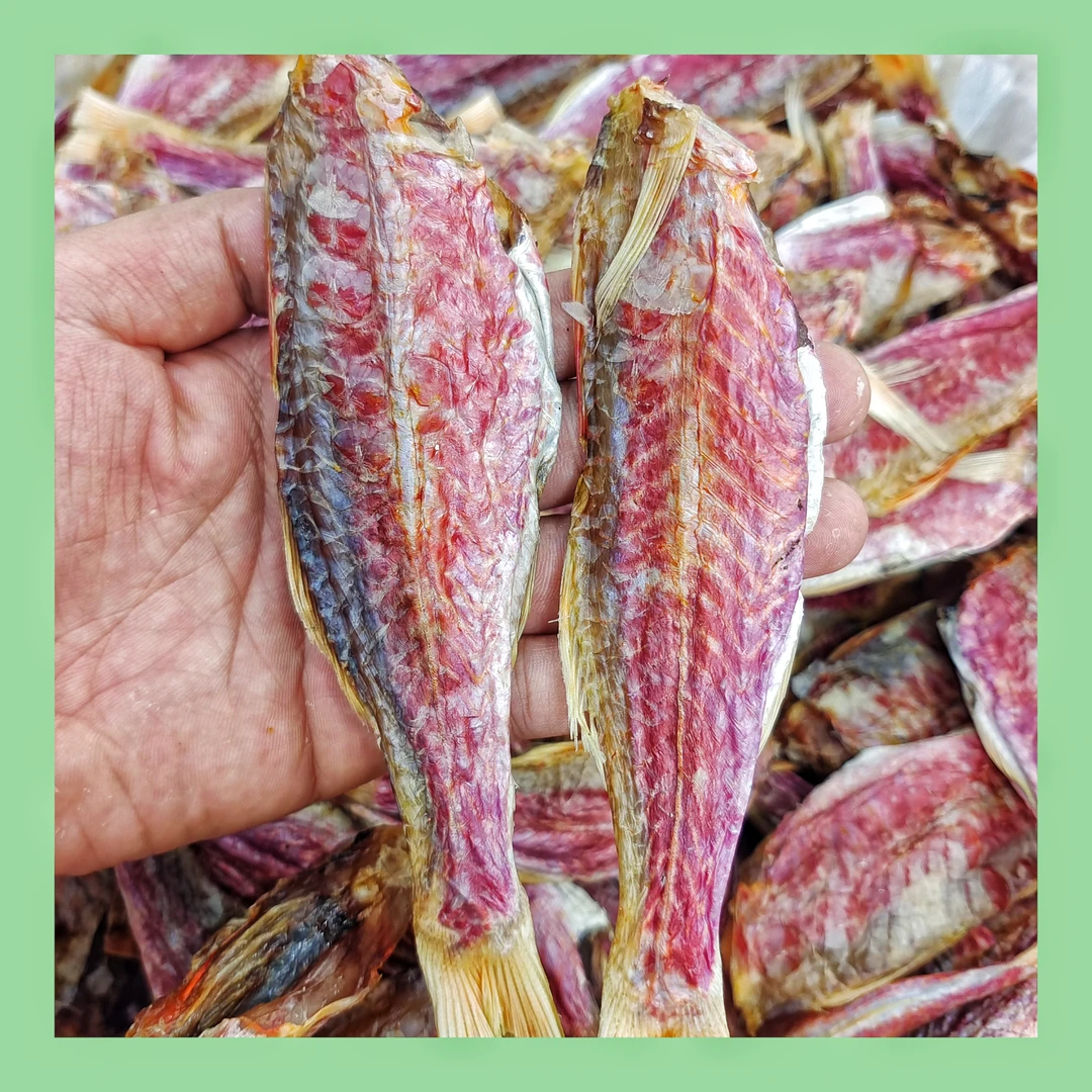 本港小红鱼干红娘鱼干咸鱼干500g（9-11条）海产干货博贺港顺丰包邮