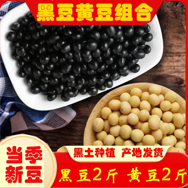 绿农晓镇黑豆黄豆组合黑豆2斤黄豆2斤当季新豆打豆浆生豆芽