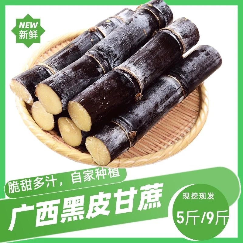 （小九）广西柳州老品种黑皮水果甘蔗5/9斤现挖现发产地直发