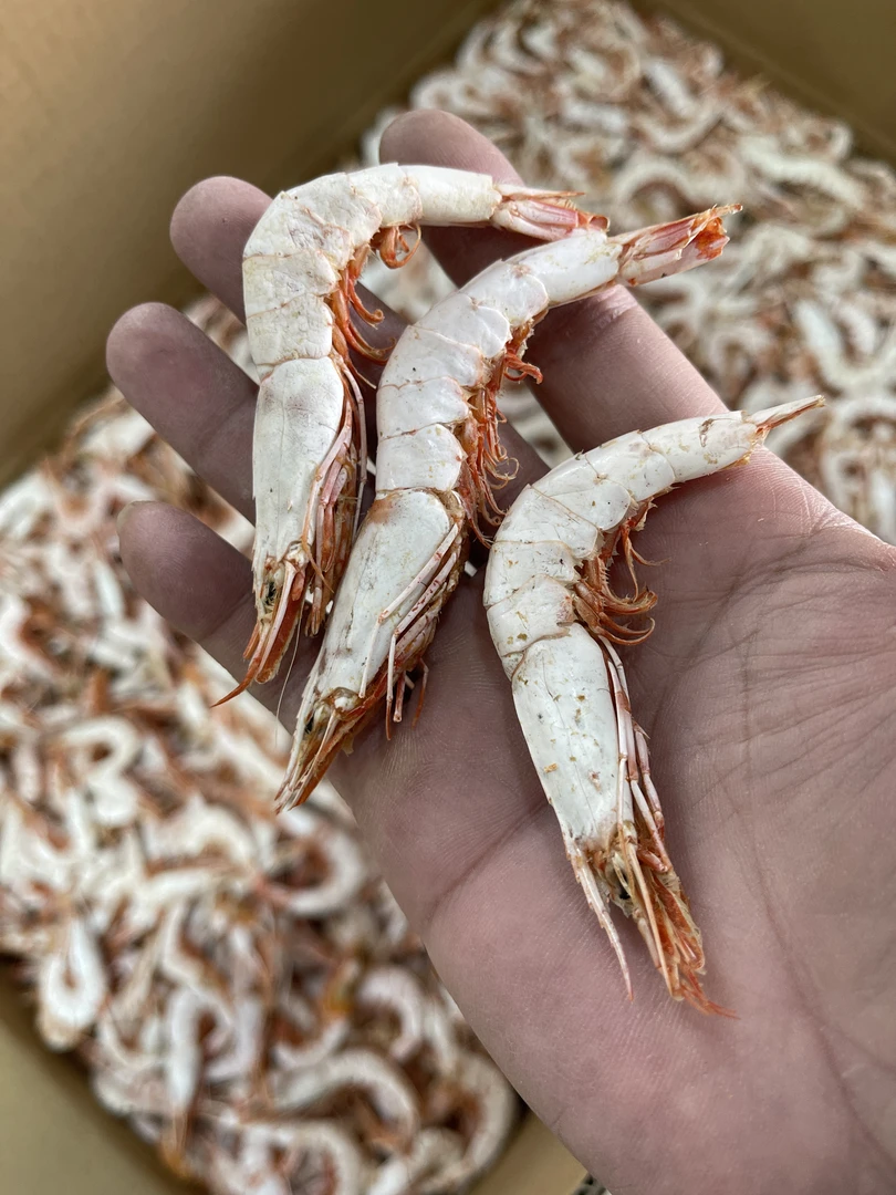碣石尖虾干 广东南海碣石湾 本港尖虾干啤酒虾即食虾干 顺丰包邮