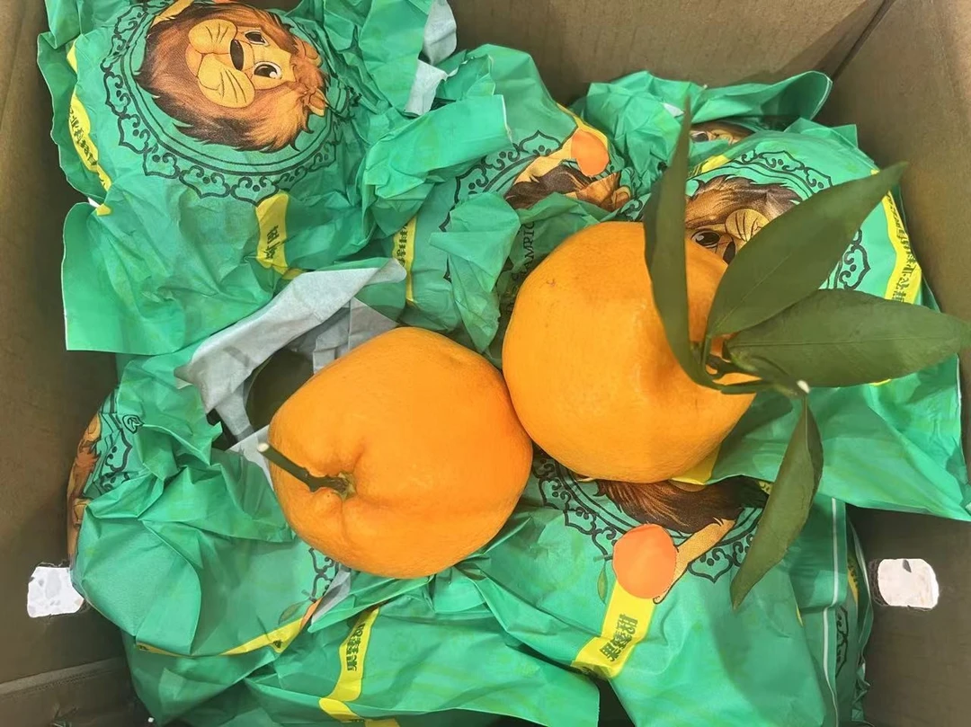 【春见耙耙柑】新鲜水果解腻丰富VC鲜甜多汁（5斤装）