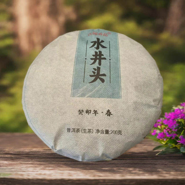 2023年 200克 忙肺水井头头春头采古树普洱茶（生茶）花果香通用
