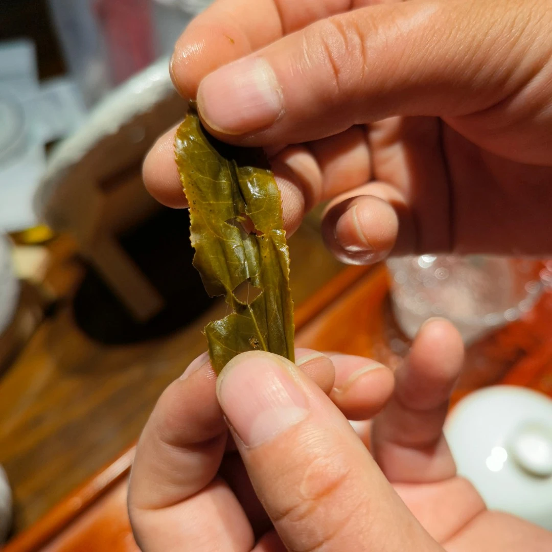 古树生茶 干仓存放 回甘生津