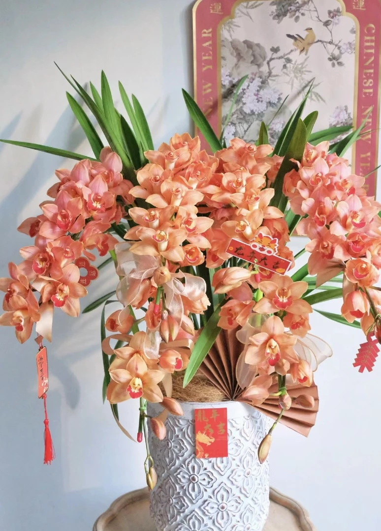 一盆花卉《梦境拱兰》 大花惠兰 客厅/阳台精品兰花