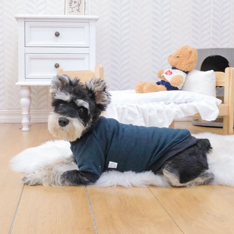 雪纳瑞衣服春秋薄款小狗狗泰迪小型犬防掉毛秋天冬季服装宠物卫衣