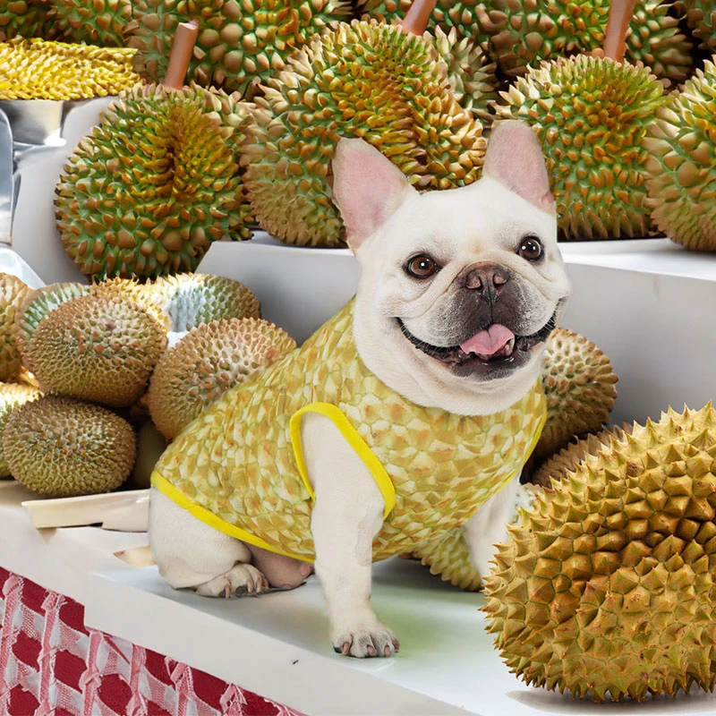 法斗衣服狗狗背心夏季薄款巴哥沙皮斗牛恶霸犬小型犬夏天宠物夏装