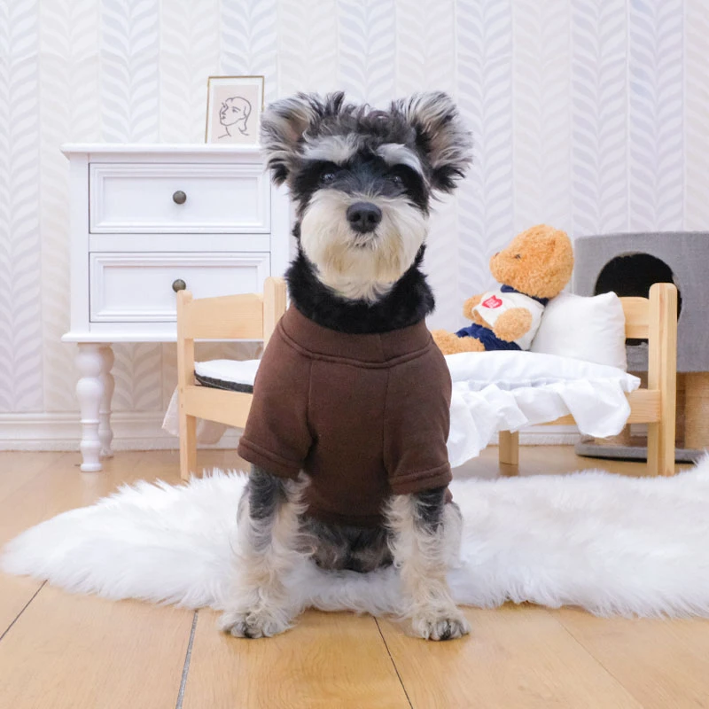 雪纳瑞衣服春秋薄款小狗狗泰迪小型犬防掉毛秋天冬季服装宠物卫衣