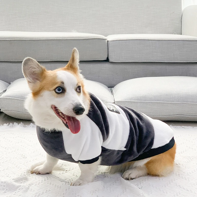 柯基犬狗狗衣服秋冬装可爱防掉毛冬季小型中型犬宠物加厚保暖卫衣