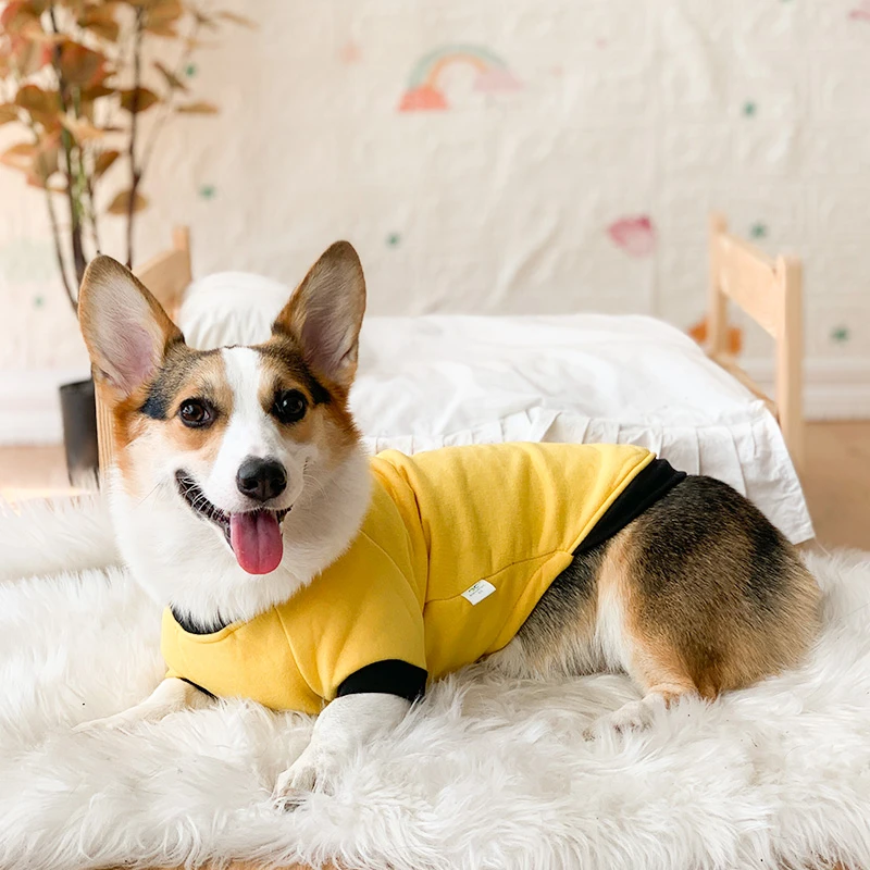 柯基犬狗狗衣服秋冬装可爱防掉毛秋季冬天小型中型犬宠物纯色卫衣
