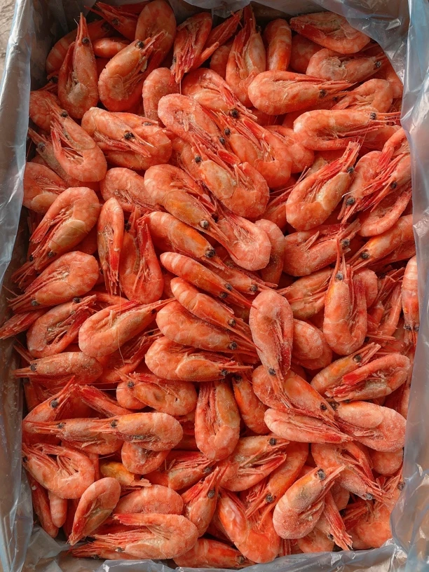 90-120头籽新货头籽北极甜虾冰虾即食海鲜无黑头净重3斤鲜甜礼盒