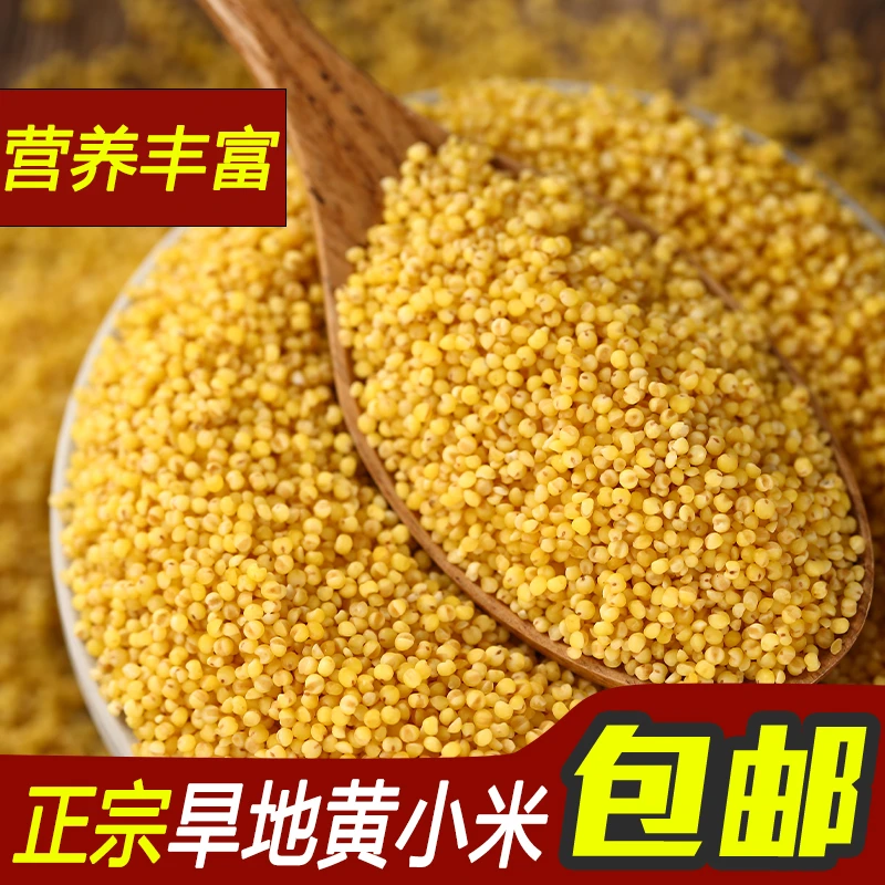 山西黄小米家乡特产